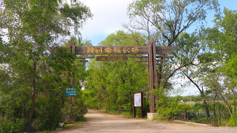 基地展示